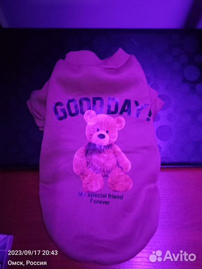 Толстовка для собак / кошек