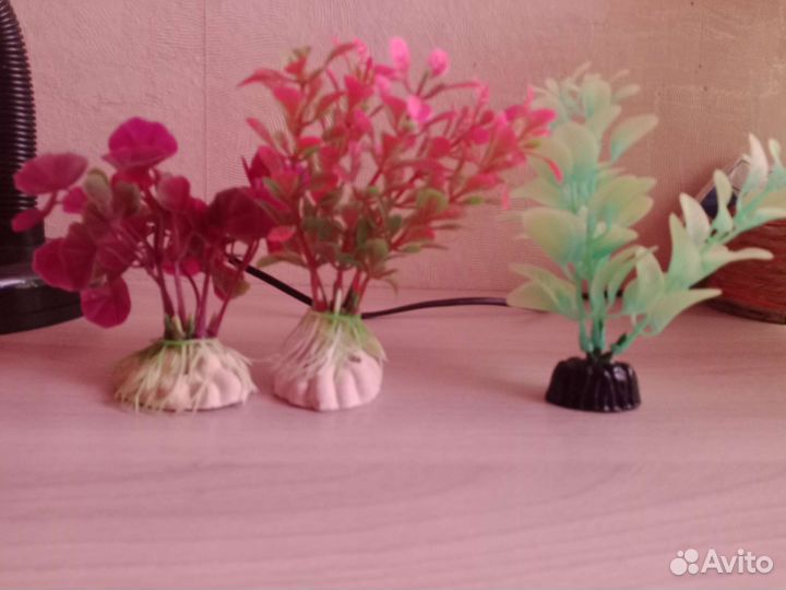 Искусственные аквариумные растения