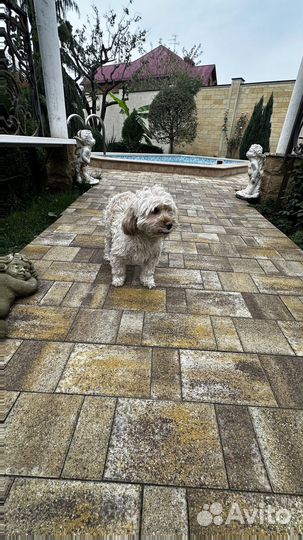 Тротуарная плитка ГОСТ заказ от 120 м2