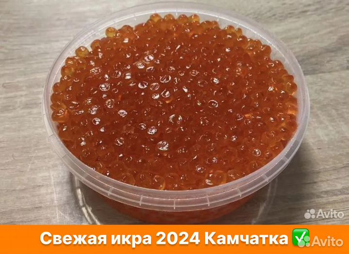 Красная Икра Горбуши 2024 Камчатка