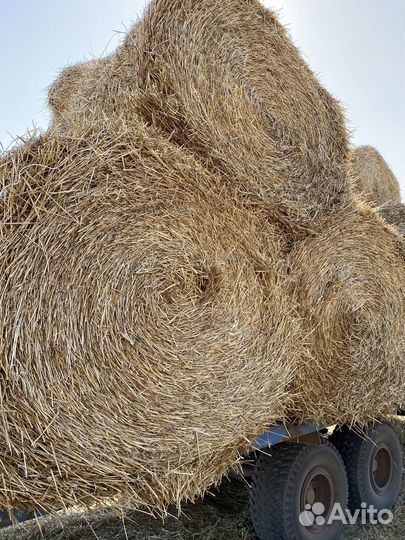 Сено, солома в рулонах
