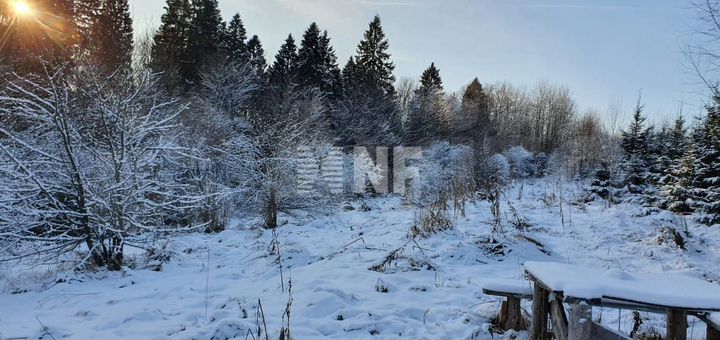 Участок 24 га (ИЖС)