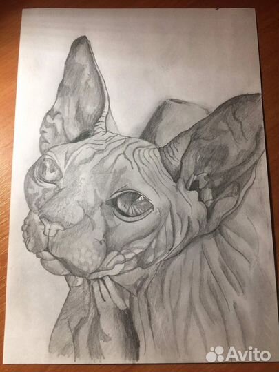 Портрет по фото карандашом