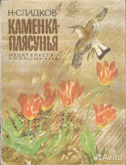 Каменка-плясунья