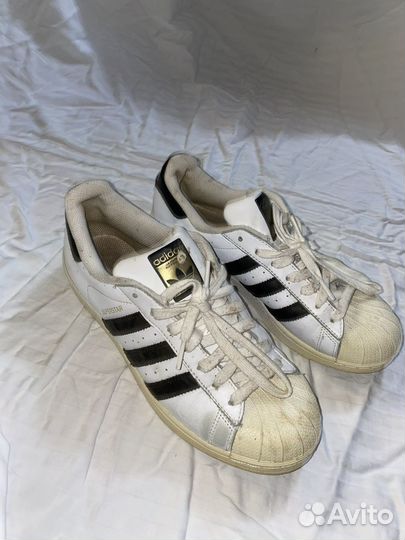 Кеды adidas superstar женские