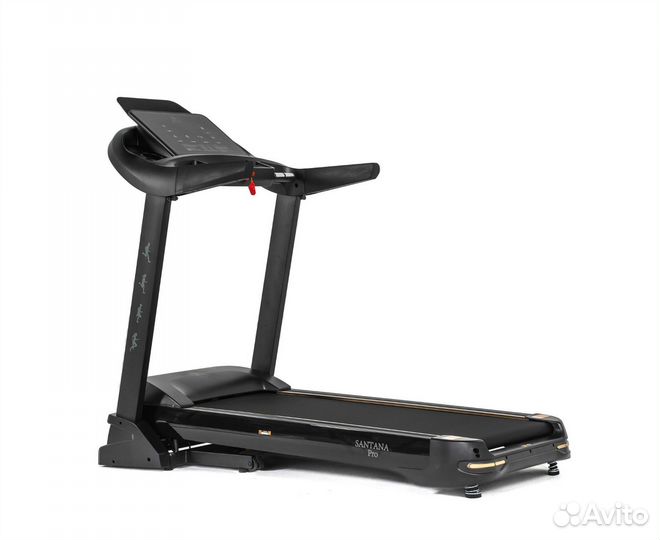 Беговая дорожка DFC santana Pro T757