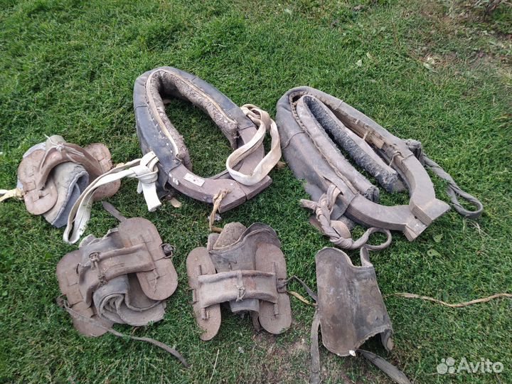 Конский хомут