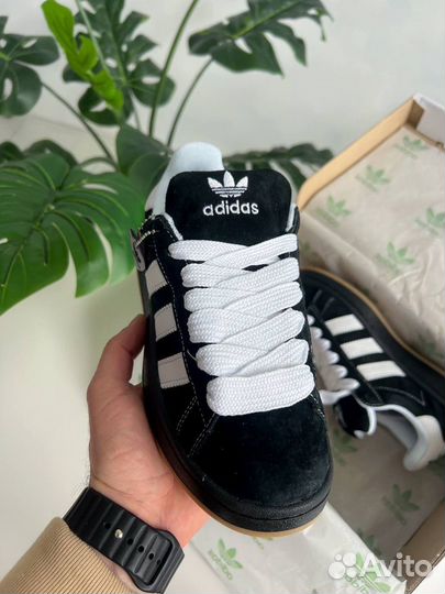 Adidas campus 00s x korn