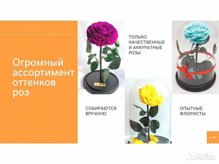 Живая роза в колбе
