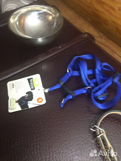 Все для маленькой собачки