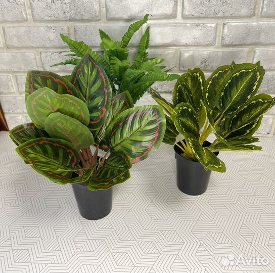 Искусственные растения 3 шт