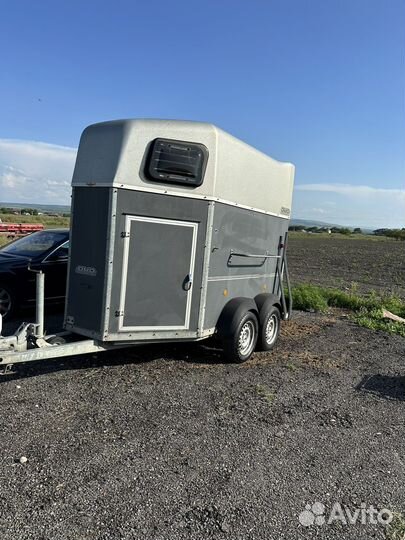 Перевозка лошадей