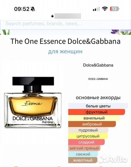 Dolce gabbana the one essence