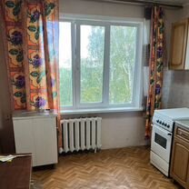 2-к. квартира, 48 м², 4/5 эт.