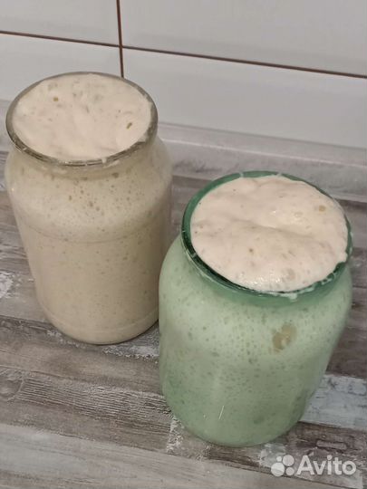 Пшеничная закваска 100 влажности