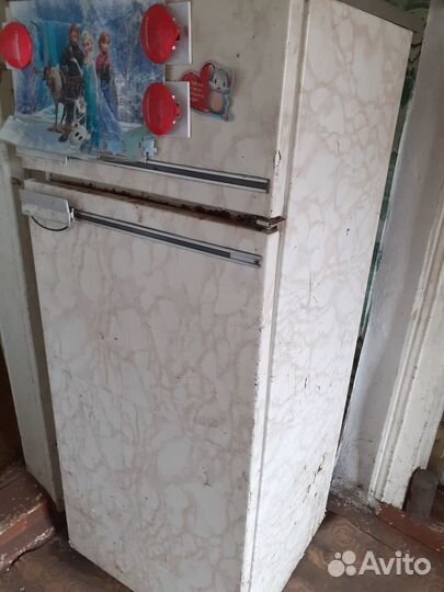 Отдам бесплатно