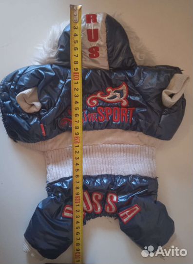 Костюмчик для маленькой собаки