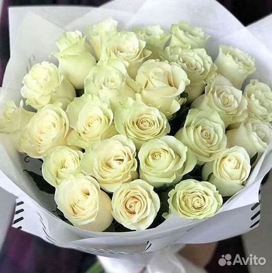 Розы Букеты Цветы Розы 31 101 151 201 Доставка