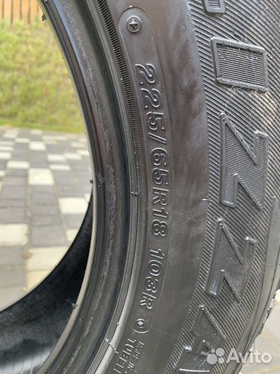 Bridgestone Blizzak DM-V1 225/65 R18