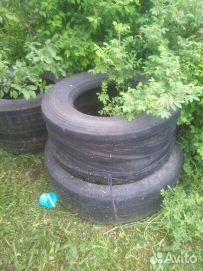 Жби кольца бу