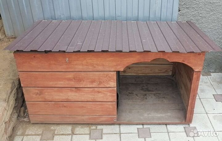 Собачья конура