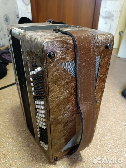 Баян вологодский СССР