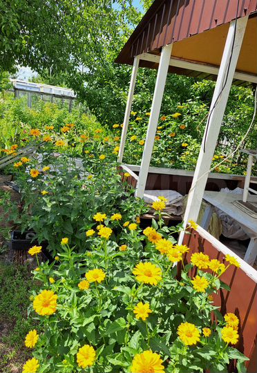 Дача 42,2 м² на участке 14 сот.