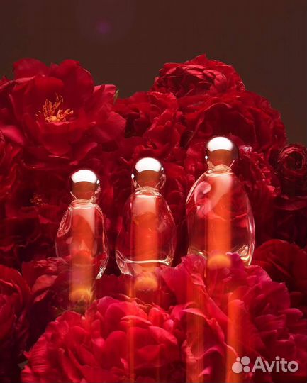 Kylie jenner cosmic perfume