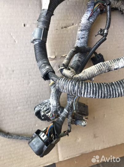 Проводка моторного отсека Хонда CR-V3 (764)