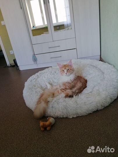 Лежанка для животных 100*100