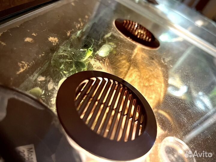 Изготовление террариумов для рептилий