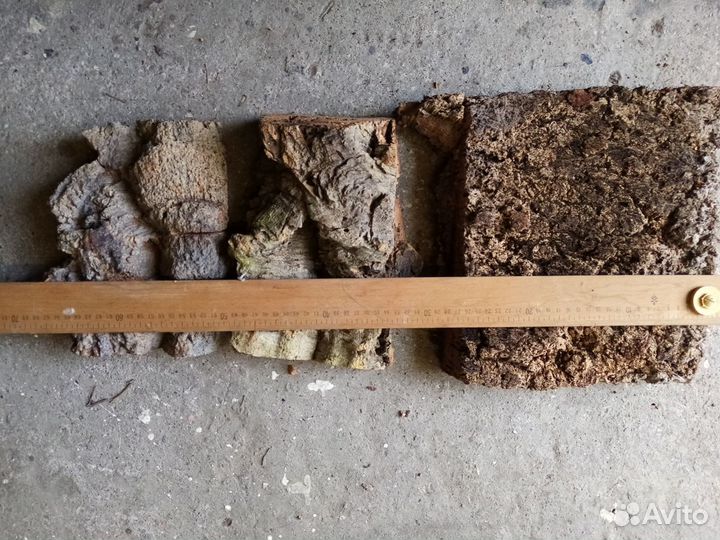 Кора пробкового дуба