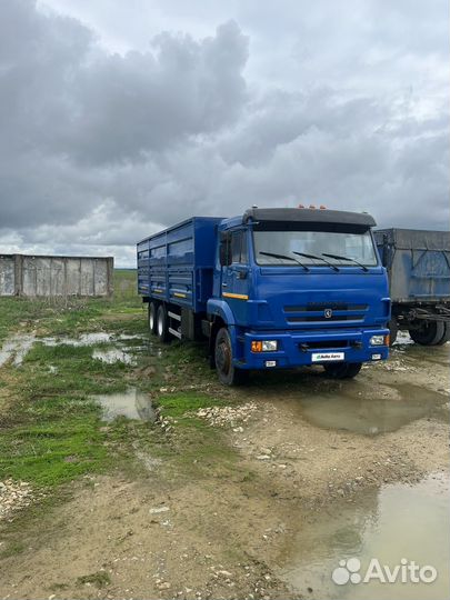 КАМАЗ 65117-N3, 2010