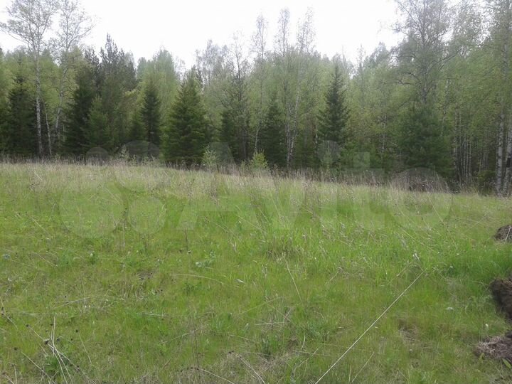 Участок 13,5 сот. (СНТ, ДНП)