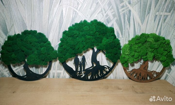 Цветы, Растения, суккуленты, Флорариум, мох