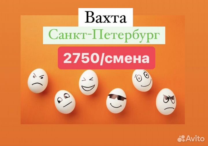 Упаковщики яиц на птицефабрике вахтой