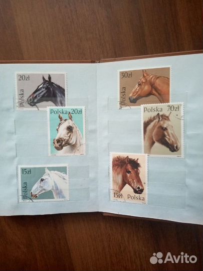 Марки. Лошади. Польша