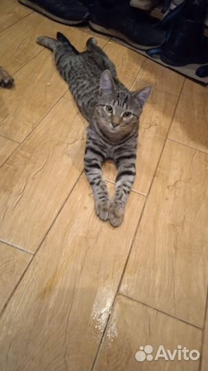 Фенечка в добрые руки