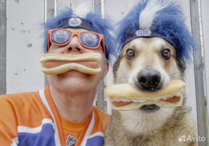 Сортировщик Parlament Вахта сидя 30/60/90 линия №2