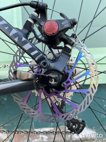 Giant AnyRoad 1