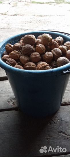 Грецкий орех