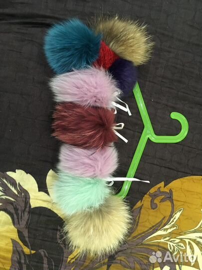 Помпоны енот, песец