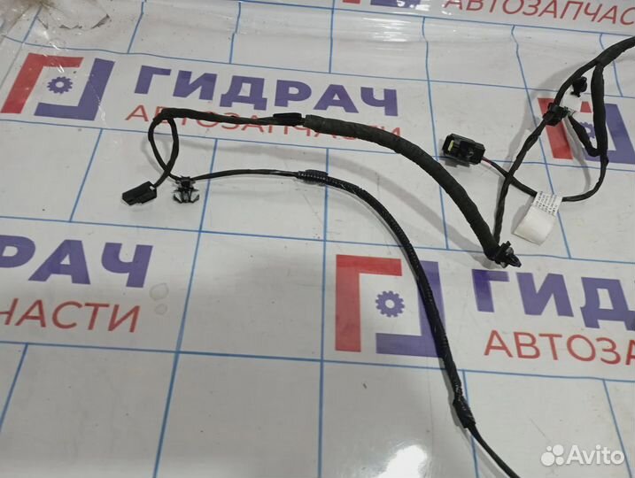 Проводка двери багажника Haval F7x 24013101XKQ05A