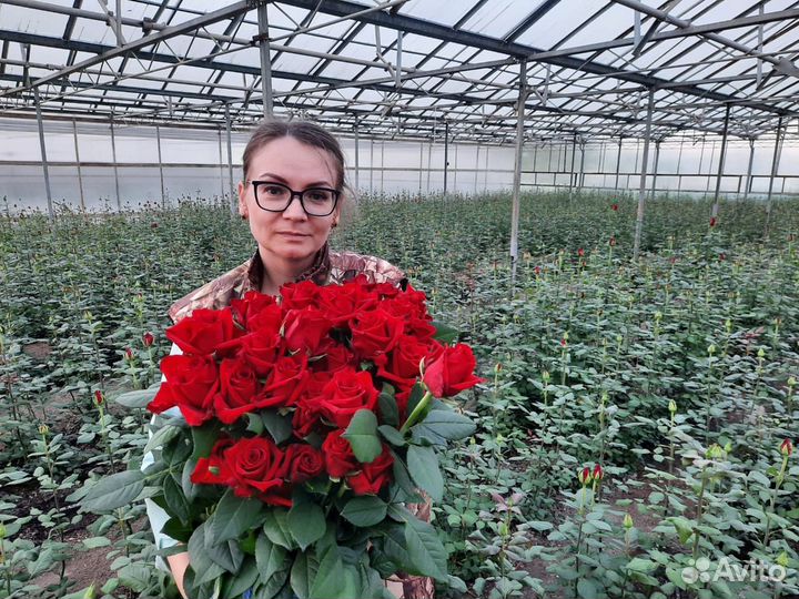 Тепличное хозяйство