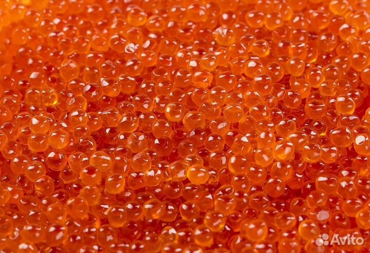 Красная Икра оптом