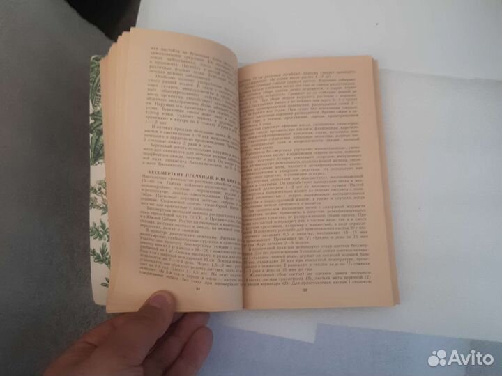 Лекарственные растения. Использование в народной