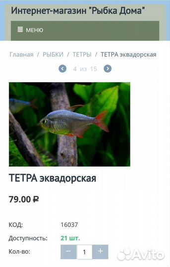 Тетра эквадорская Аквариумные рыбки магазина