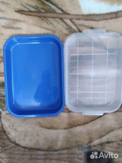 Лоток новый, поводок для кота, собачки мелкой