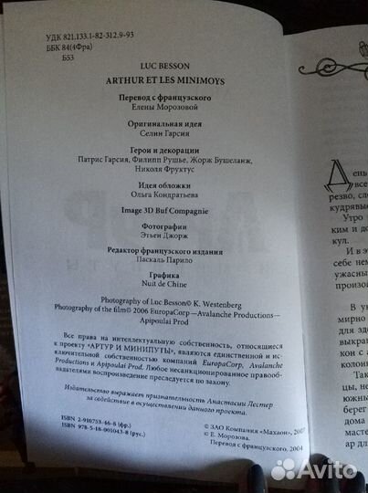 Книги Артур и минипуты, Артур и запретный город