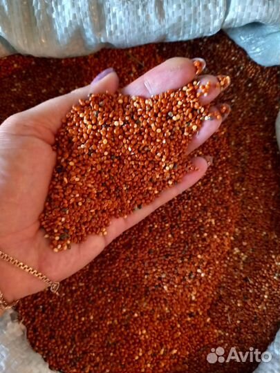 Корма для все животных, старт, раст